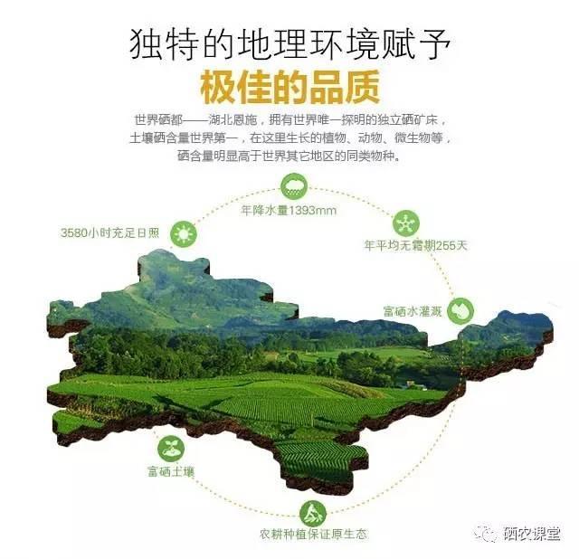 补硒治疗骨坏死(骨头坏死可以补钙吗)-硒宝网