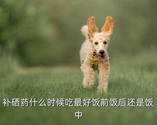 硒不足补什么好(补硒最好)-硒宝网