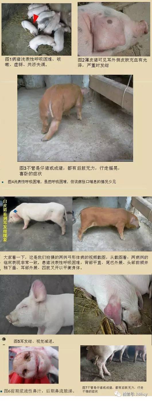 补硒为什么腹泻(补硒吃啥药)-硒宝网