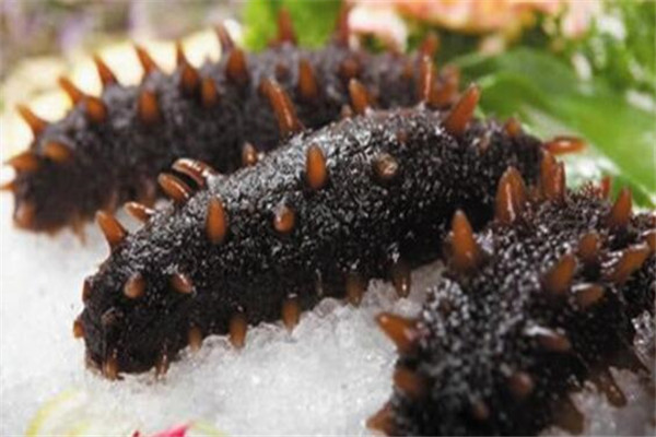 补钙的食物排行榜（食物补钙排名）-硒宝网