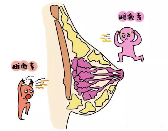 补硒与乳腺增生（乳腺增生吃硒有效果吗）-硒宝网