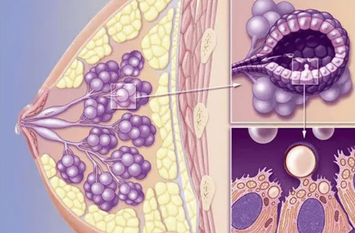 补硒与乳腺增生（乳腺增生补硒片有用吗）-硒宝网