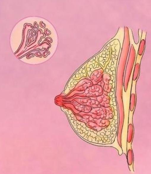 补硒与乳腺增生（乳腺增生补硒片有用吗）-硒宝网