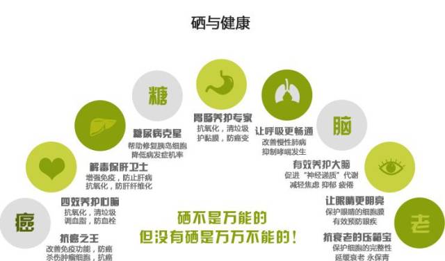 人体为啥要补硒(硒要补吗)-硒宝网