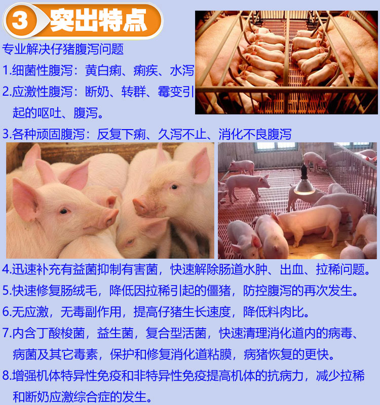 小猪还用补硒吗(小猪补硒多少毫升)-硒宝网