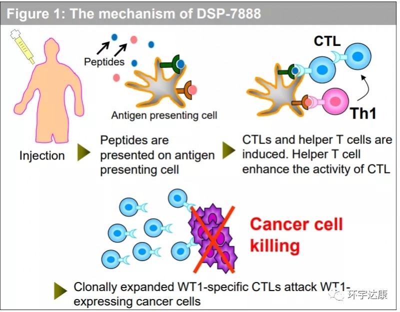 癌症是否要补硒(癌症病人补充硒)-硒宝网