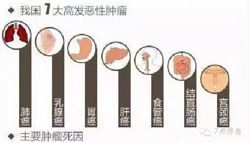 补硒的身体反应(补了硒这些反应是正常的)-硒宝网
