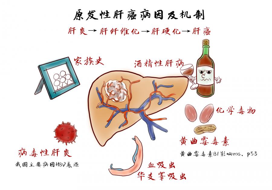 补硒的身体反应(补了硒这些反应是正常的)-硒宝网