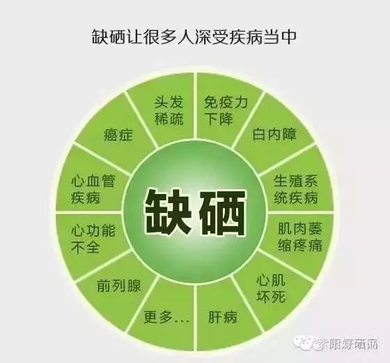 补硒的国家文件（国家号召补硒意义是什么）-硒宝网