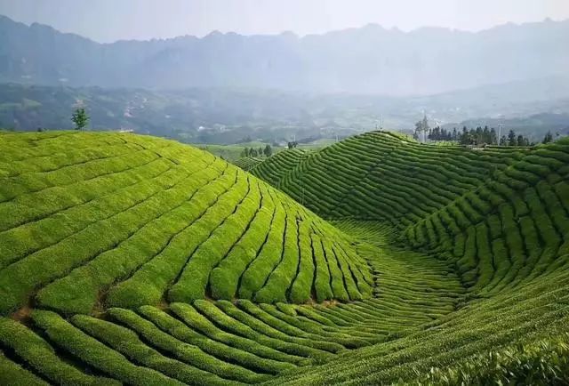 补硒的国家文件（国家号召补硒意义是什么）-硒宝网