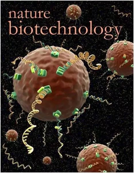 补硒可以修复胃(补硒对胃病的好处)-硒宝网