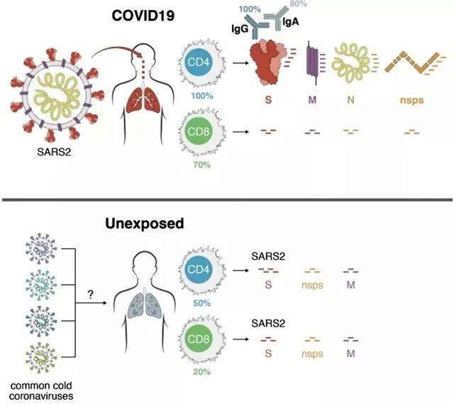 病毒肝补什么硒(肝病吃硒管用吗)-硒宝网