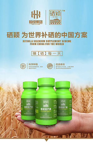 老年补硒产冲剂(老年人吃硒片)-硒宝网