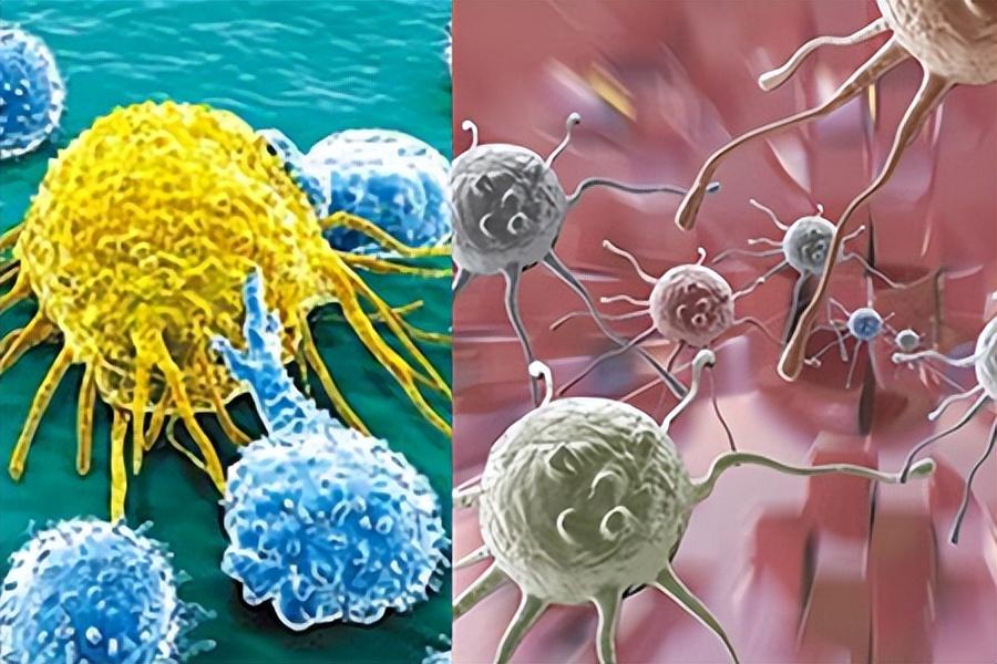 病毒肝补什么硒(补硒对肝病患者有好处吗)-硒宝网