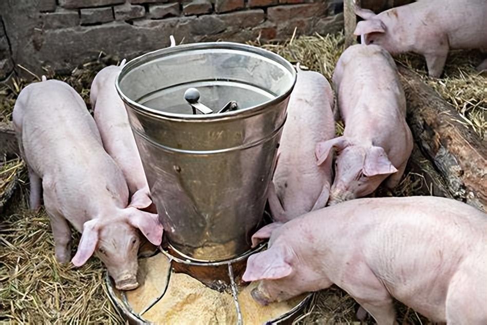 病毒肝补什么硒(补硒对肝病患者有好处吗)-硒宝网