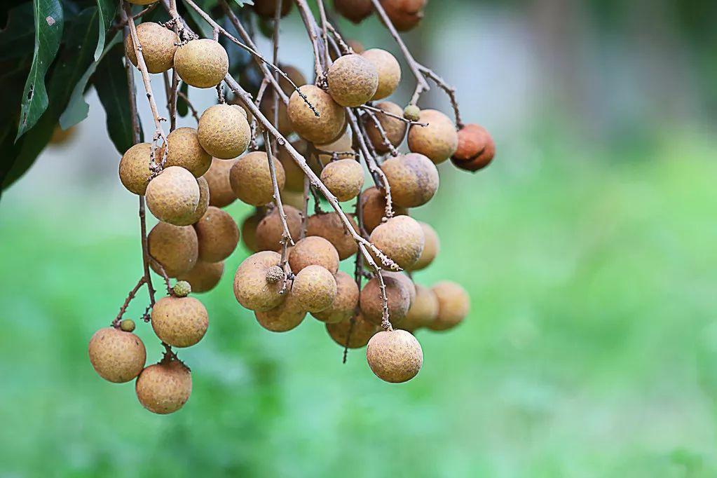 病毒肝补什么硒(补硒对肝病患者有好处吗)-硒宝网