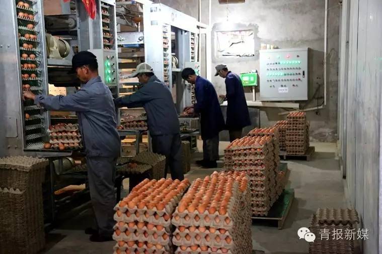 全民补硒的省份（全民补硒纳入国家什么）-硒宝网