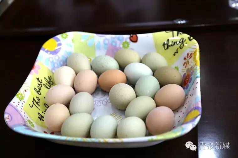 全民补硒的省份（全民补硒纳入国家什么）-硒宝网