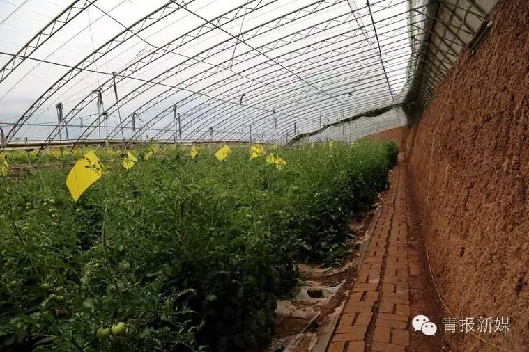 全民补硒的省份（全民补硒纳入国家什么）-硒宝网