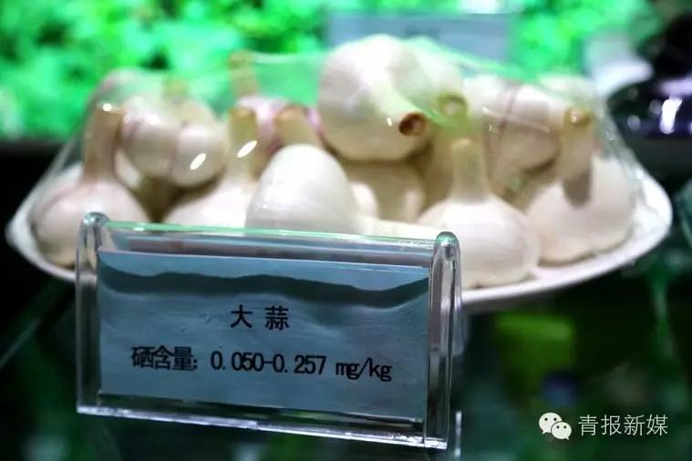 全民补硒的省份（全民补硒纳入国家什么）-硒宝网