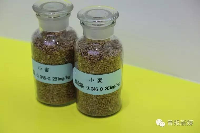 全民补硒的省份（全民补硒纳入国家什么）-硒宝网