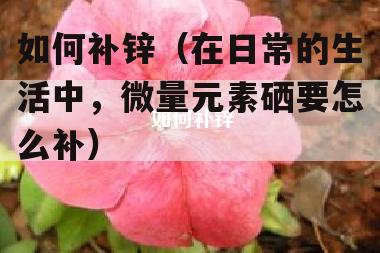 男人补多少锌硒（男人补锌和硒的作用）-硒宝网