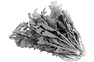 芝麻能补钙吗(黑芝麻能补钙吗)-硒宝网