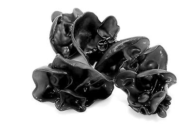 芝麻能补钙吗(黑芝麻能补钙吗)-硒宝网