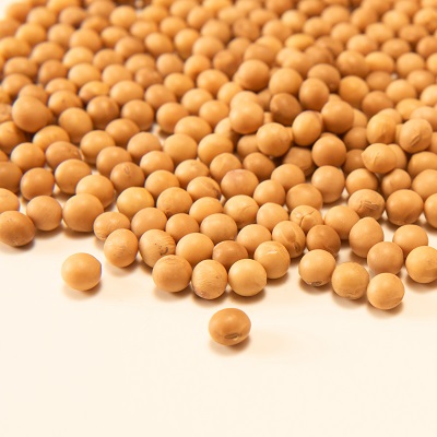 吃什么补蛋白硒(蛋白硒的食物)-硒宝网