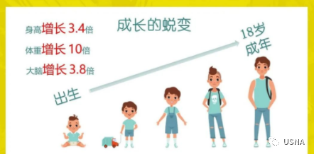 钙 硒十八补粉(补钙补硒)-硒宝网