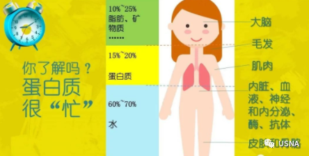 钙 硒十八补粉(补钙补硒)-硒宝网