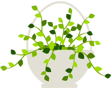 10多天新生儿怎么补钙（新生儿补钙天天吃好吗）-硒宝网