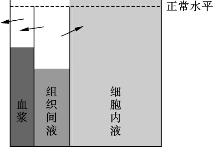 补钠计算公式（补钠公式g）-硒宝网