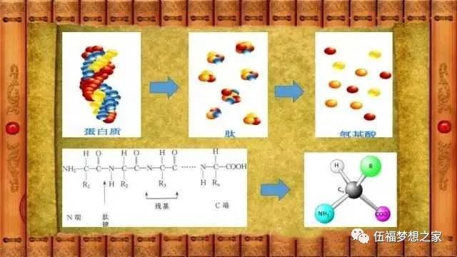钙 硒十八补粉(硒钙片的好处)-硒宝网