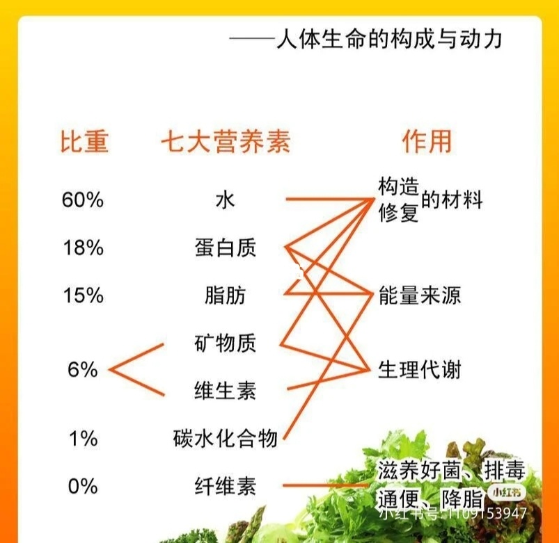 补锌可以祛痘吗（补锌能祛痘）-硒宝网
