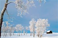 孕妇没必要补硒(孕妇补硒对宝宝不好吗)-硒宝网