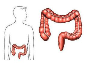肠道息肉补硒吗(肠道补息肉硒片能吃吗)-硒宝网