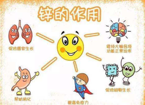 宝宝补锌什么牌子好(宝宝补锌哪个品牌好)-硒宝网