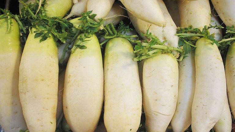 小儿缺硒怎么补（儿童缺硒吃什么药）-硒宝网