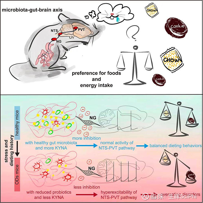 补硒过度的食物(过度补食物硒会怎么样)-硒宝网