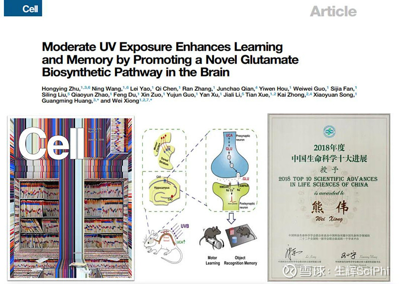 补硒过度的食物(过度补食物硒会怎么样)-硒宝网