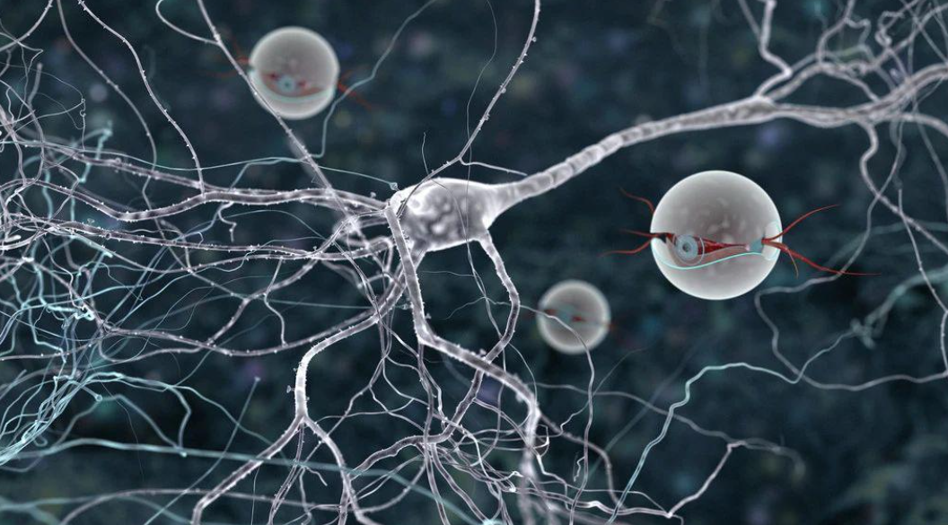 男人补锌镁片能提高性功能吗(镁能提高性功能么)-硒宝网