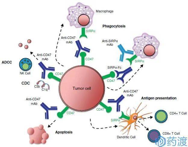 高吉星补硒骗局（高吉星补硒片作用与功效）-硒宝网
