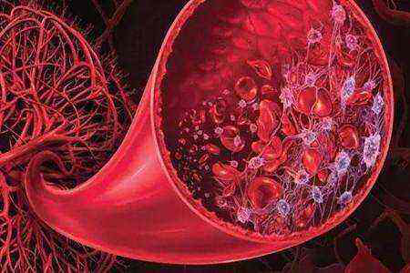 补硒尿酸升高吗(升高补尿酸硒有用吗)-硒宝网