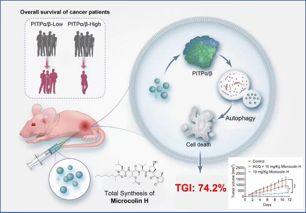 肺癌补硒和多肽(肺癌补硒)-硒宝网