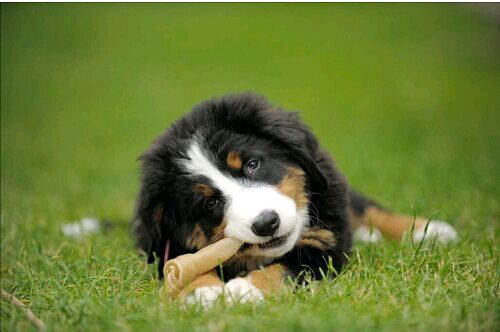 什么补钙最好(补钙好的钙片)-硒宝网