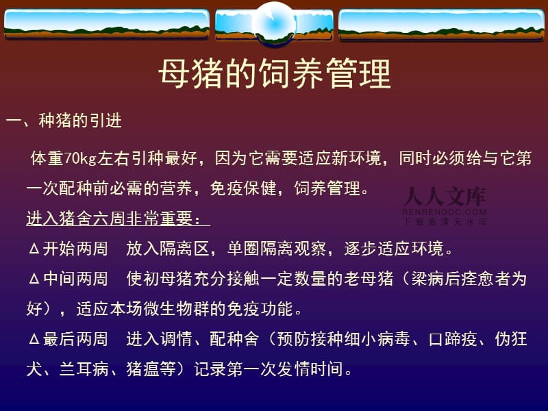 保育猪怎么补硒(猪补硒过量怎么办)-硒宝网