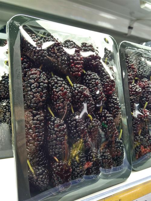 补铁药不能和什么一起吃(吃药期间可以吃补铁的吗)-硒宝网