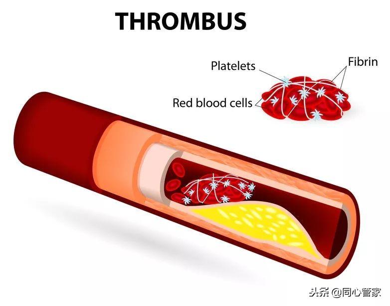 科学补硒52问（科学补硒视频）-硒宝网