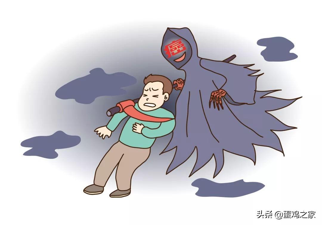 吃鸡蛋可以补硒（鸡蛋可以补硒吗）-硒宝网